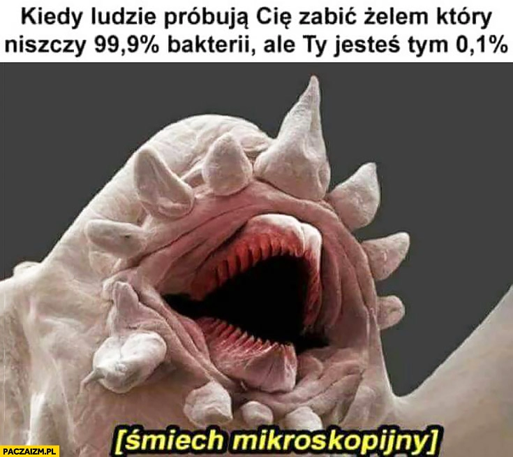 
    Kiedy ludzie próbują Cię zabić żelem, który niszczy 99,9% procent bakterii, ale Ty jesteś tym 0,1% procentem