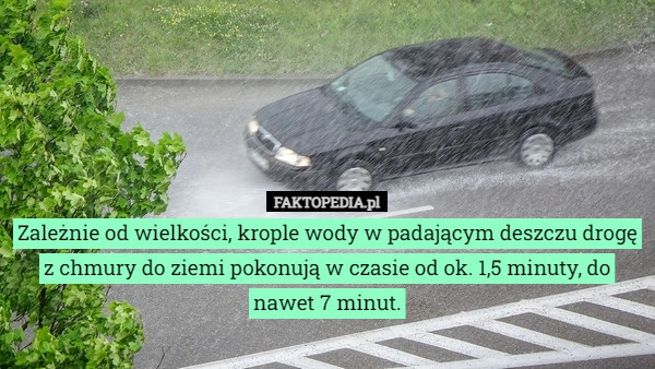 
    Zależnie od wielkości, krople wody w padającym deszczu drogę z chmury do