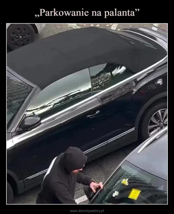 
    „Parkowanie na palanta”