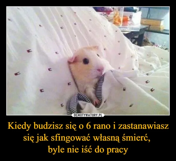 
    Kiedy budzisz się o 6 rano i zastanawiasz się jak sfingować własną śmierć, byle nie iść do pracy