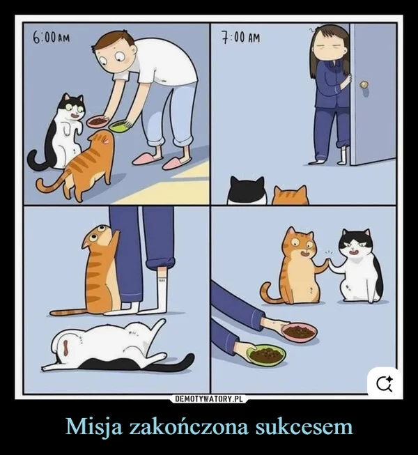 
    Misja zakończona sukcesem