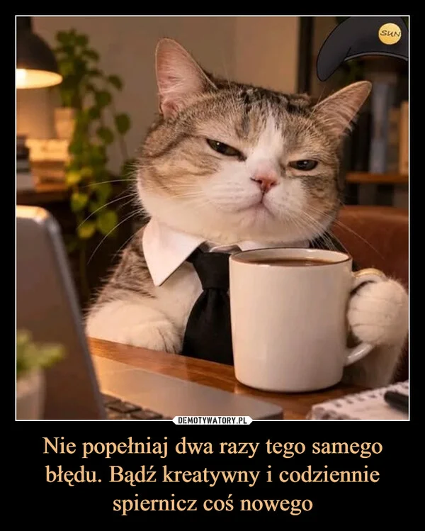 
    Nie popełniaj dwa razy tego samego błędu. Bądź kreatywny i codziennie spiernicz coś nowego