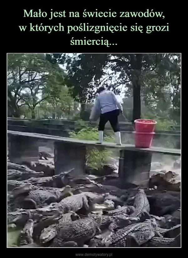 
    Mało jest na świecie zawodów, w których poślizgnięcie się grozi śmiercią...