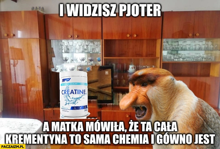 
    Kreatyna SFD widzisz Pioter matka mówiła, że to sama chemia i gówno jest polak małpa nosacz