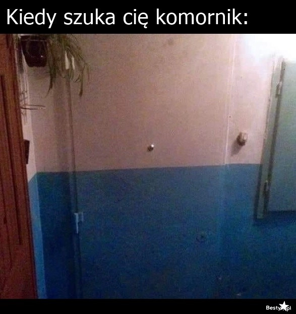 
    Kamuflaż 