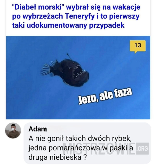 
    Wycieczka