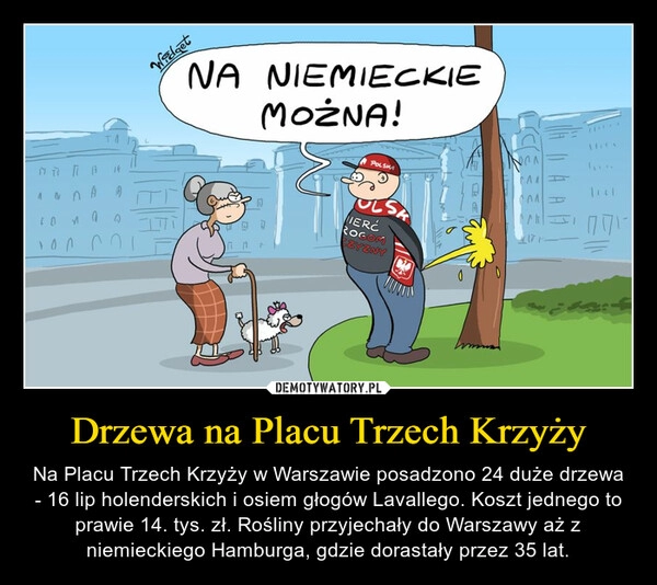 
    Drzewa na Placu Trzech Krzyży