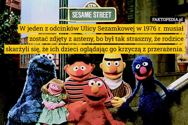 
    W jeden z odcinków Ulicy Sezamkowej w 1976 r. musiał zostać zdjęty z anteny,