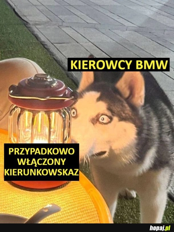 
    Co to jest ;o