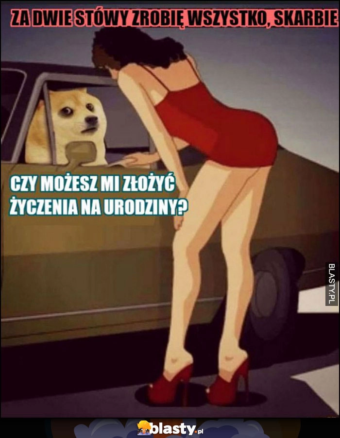 
    Pies doge za dwie stówy zrobię wszystko skarbie, czy możesz mi złożyć życzenia na urodziny?