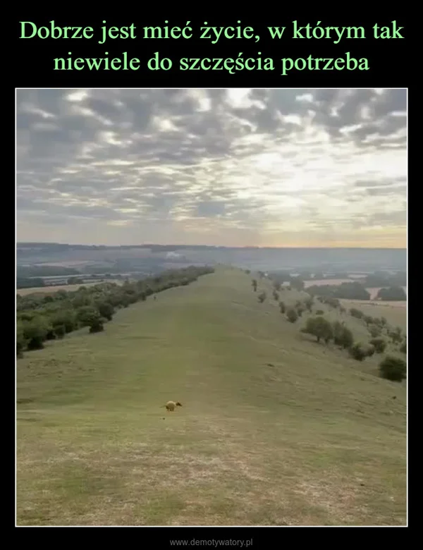 
    Dobrze jest mieć życie, w którym tak niewiele do szczęścia potrzeba