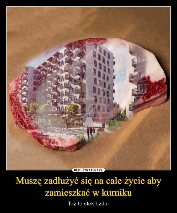 
    Muszę zadłużyć się na całe życie aby zamieszkać w kurniku