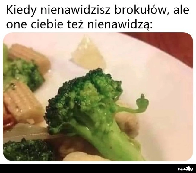 
    Wzajemna nienawiść 