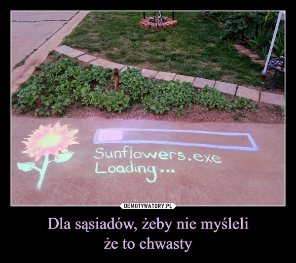 
    Dla sąsiadów, żeby nie myśleli
że to chwasty