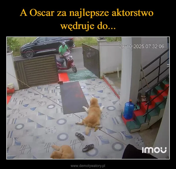 
    A Oscar za najlepsze aktorstwo wędruje do...