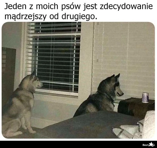 
    Nie da się ukryć 