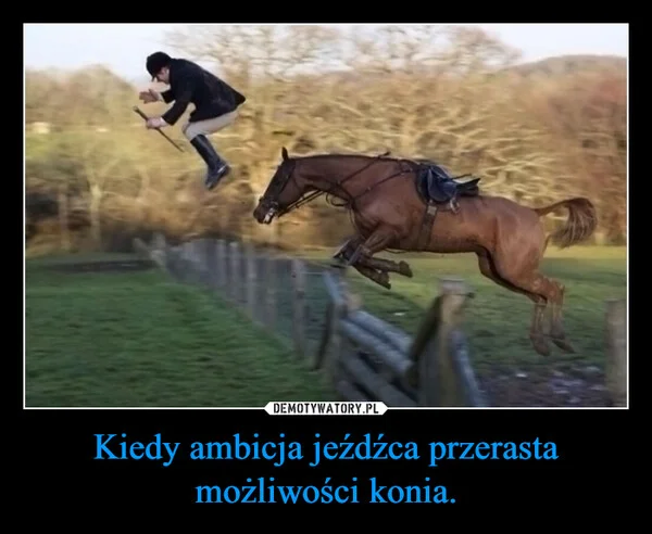 
    Kiedy ambicja jeźdźca przerasta możliwości konia.