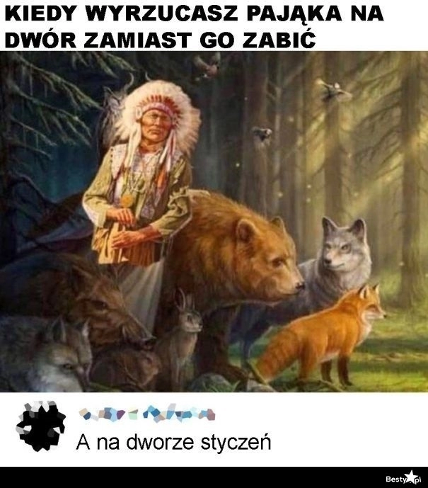 
    Chyba wróci 