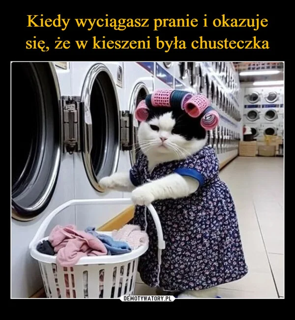 
    Kiedy wyciągasz pranie i okazuje się, że w kieszeni była chusteczka