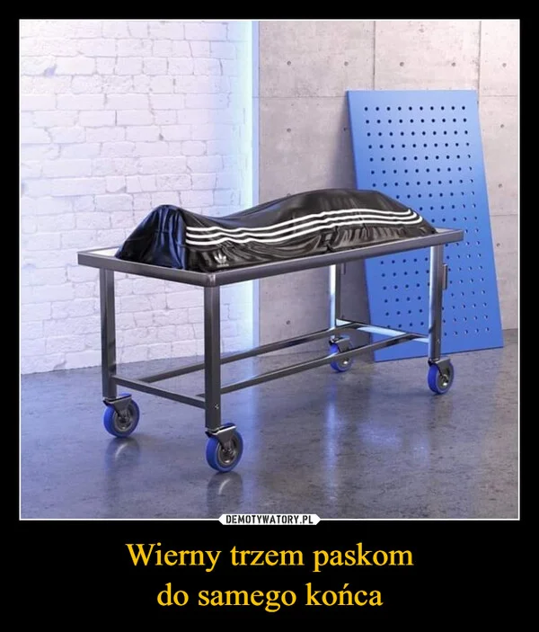 
    Wierny trzem paskom do samego końca
