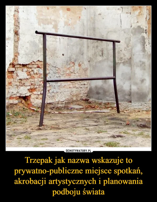 
    Trzepak jak nazwa wskazuje to prywatno-publiczne miejsce spotkań, akrobacji artystycznych i planowania podboju świata
