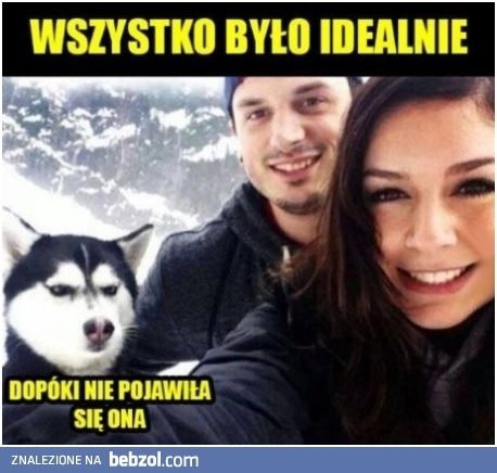 
    Było dobrze