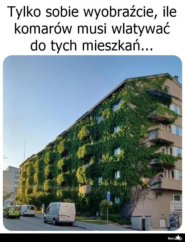 
    Nie przemyśleli tego dobrze 