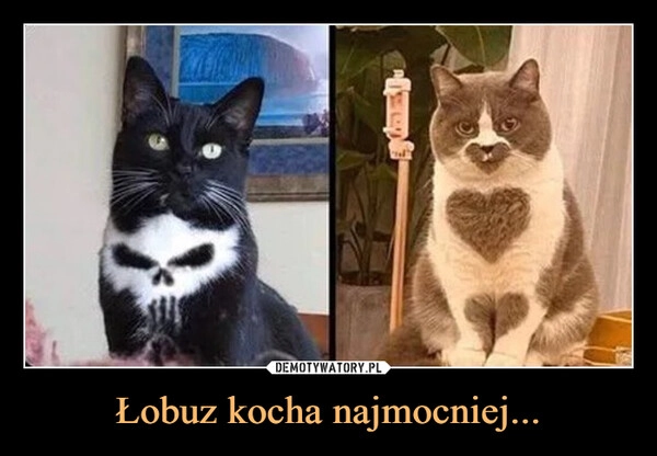 
    Łobuz kocha najmocniej...