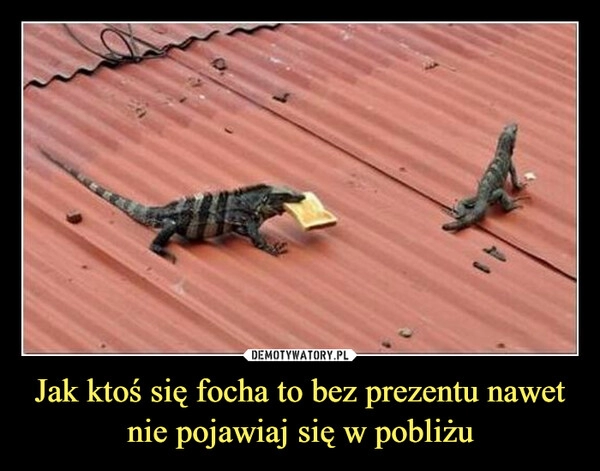 
    Jak ktoś się focha to bez prezentu nawet nie pojawiaj się w pobliżu