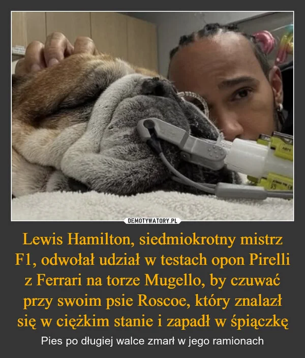 
    Lewis Hamilton, siedmiokrotny mistrz F1, odwołał udział w testach opon Pirelli z Ferrari na torze Mugello, by czuwać przy swoim psie Roscoe, który znalazł się w ciężkim stanie i zapadł w śpiączkę