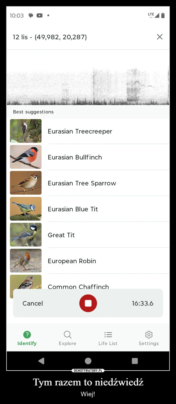 
    Tym razem to niedźwiedź