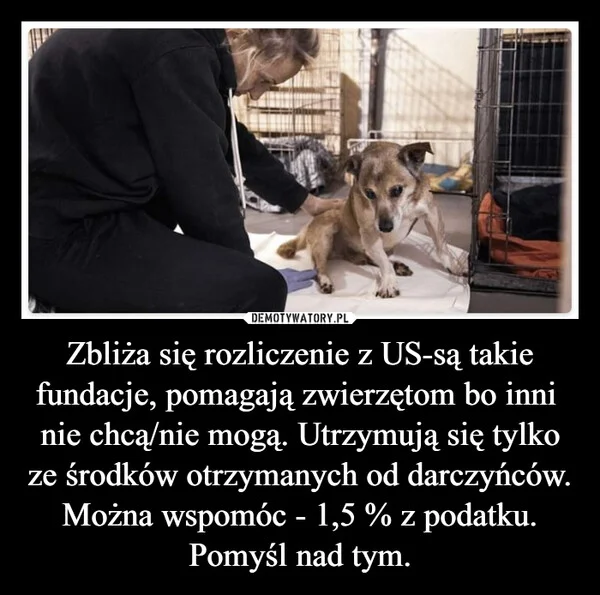 
    Zbliża się rozliczenie z US-są takie fundacje, pomagają zwierzętom bo inni nie chcą/nie mogą. Utrzymują się tylko ze środków otrzymanych od darczyńców. Można wspomóc - 1,5 % z podatku. Pomyśl nad tym.