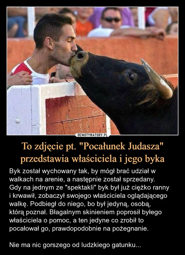 To zdjęcie pt. 