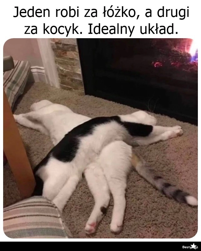 
    Idealny układ 