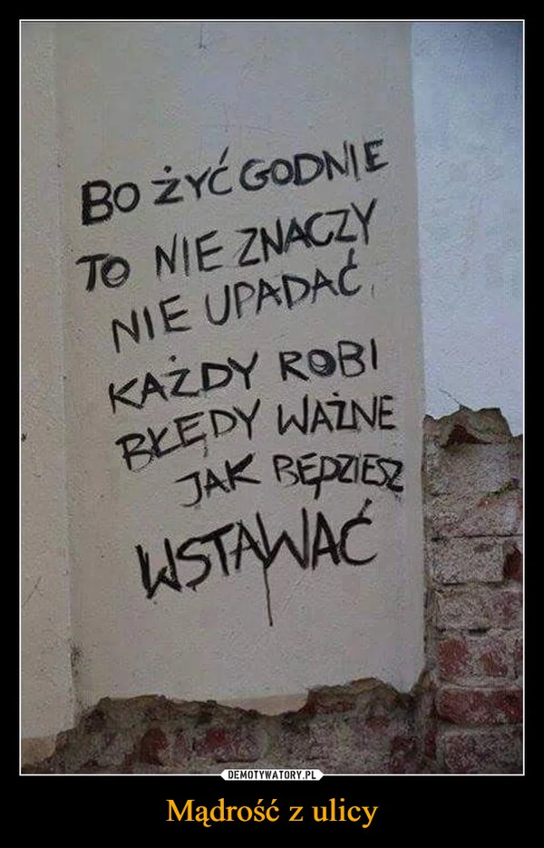 
    Mądrość z ulicy