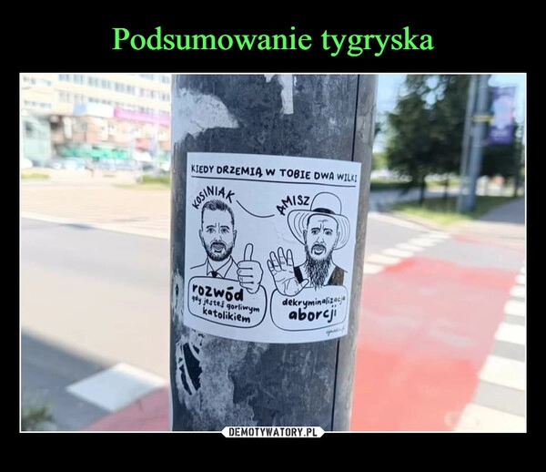 
    Podsumowanie tygryska