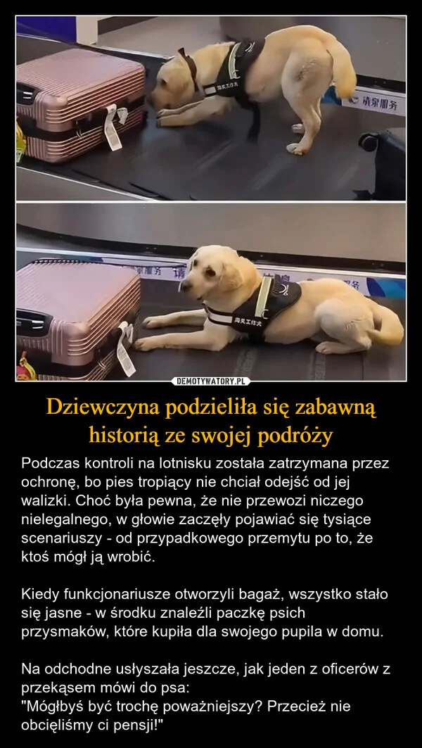 
    Dziewczyna podzieliła się zabawną historią ze swojej podróży