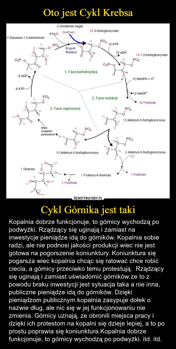 
    Oto jest Cykl Krebsa Cykl Górnika jest taki