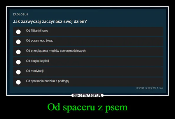 
    Od spaceru z psem