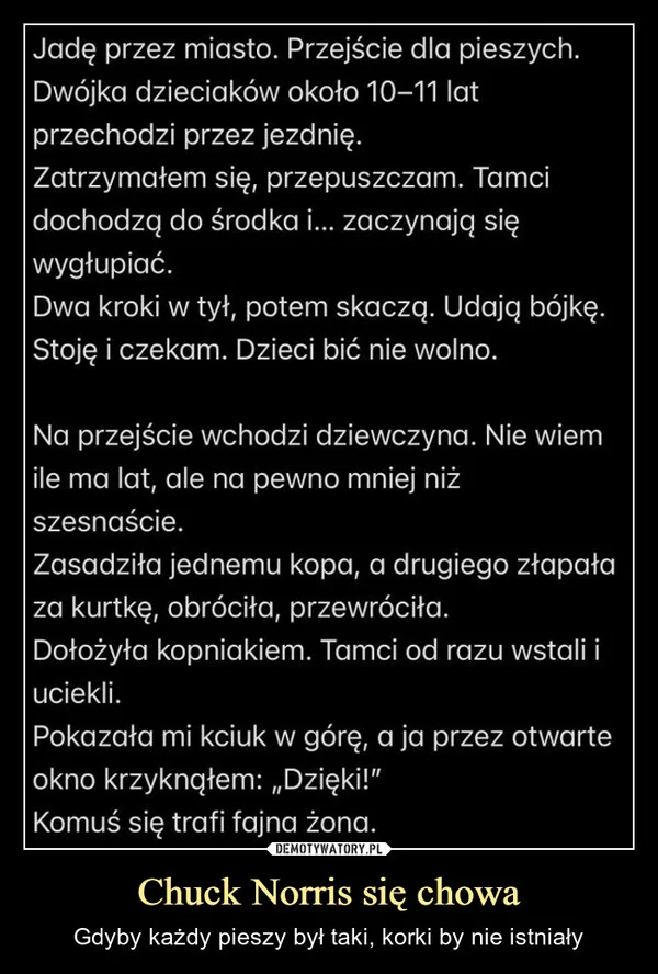 
    Chuck Norris się chowa