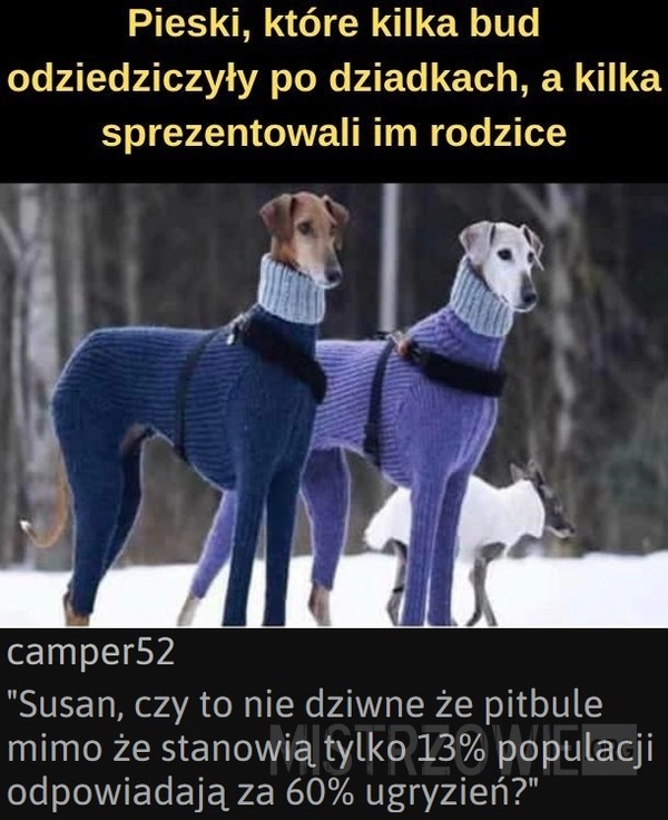 
    Pieski