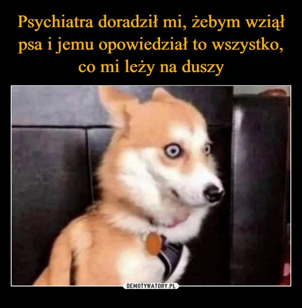 
    Psychiatra doradził mi, żebym wziął psa i jemu opowiedział to wszystko, co mi leży na duszy