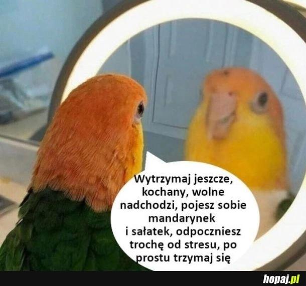 
    Jeszcze trochę