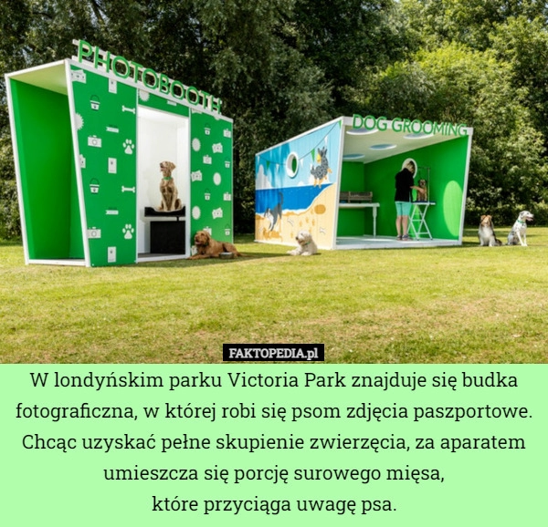 
    W londyńskim parku Victoria Park znajduje się budka fotograficzna, w której