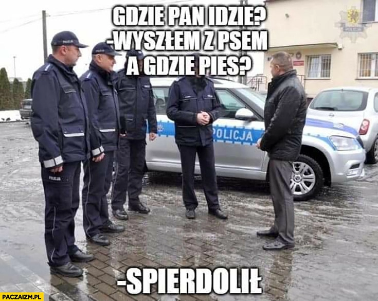 
    Policja: gdzie pan idzie? Wyszedłem z psem, a gdzie pies? Spierdzielił