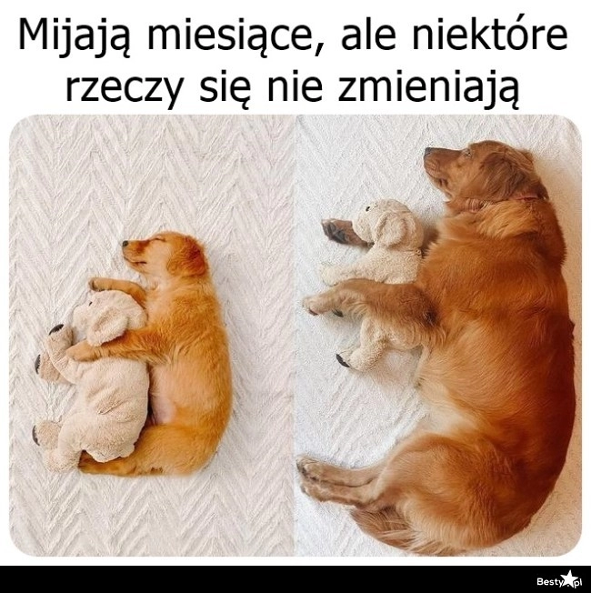 
    Niektóre rzeczy się nie zmieniają 