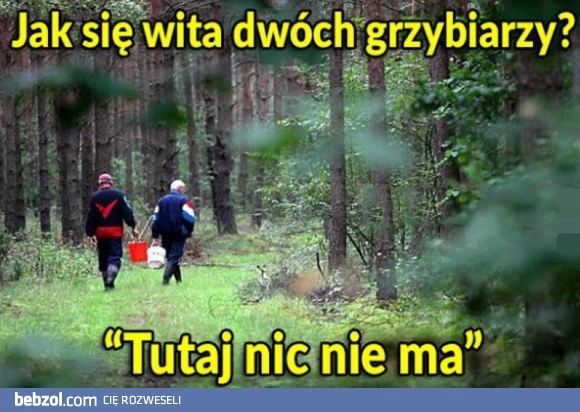 
    Tak się wita