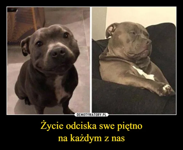 
    Życie odciska swe piętno na każdym z nas