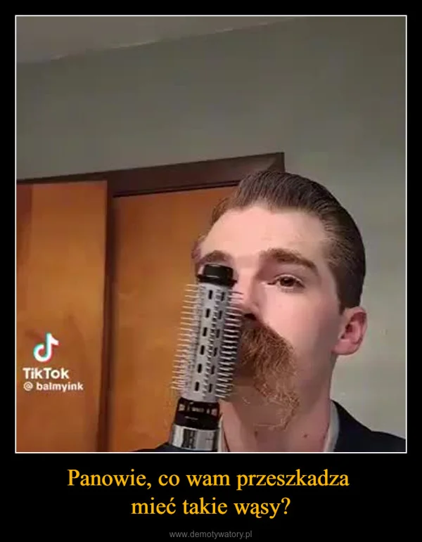 
    Panowie, co wam przeszkadza mieć takie wąsy?