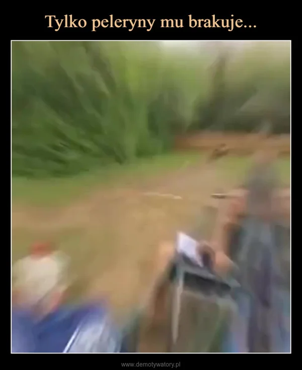 
    Tylko peleryny mu brakuje...